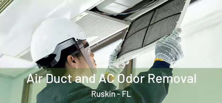 Air Duct and AC Odor Removal Ruskin - FL