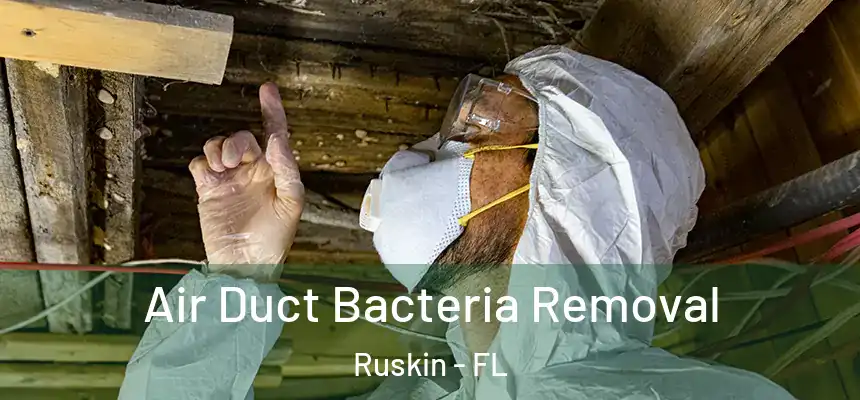 Air Duct Bacteria Removal Ruskin - FL