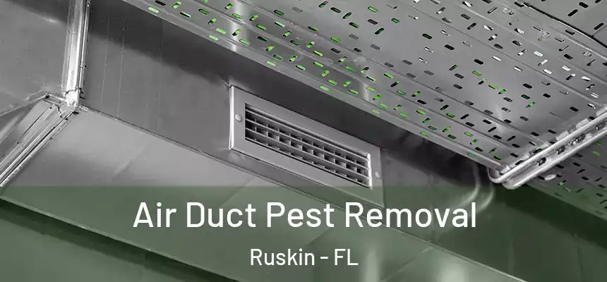 Air Duct Pest Removal Ruskin - FL