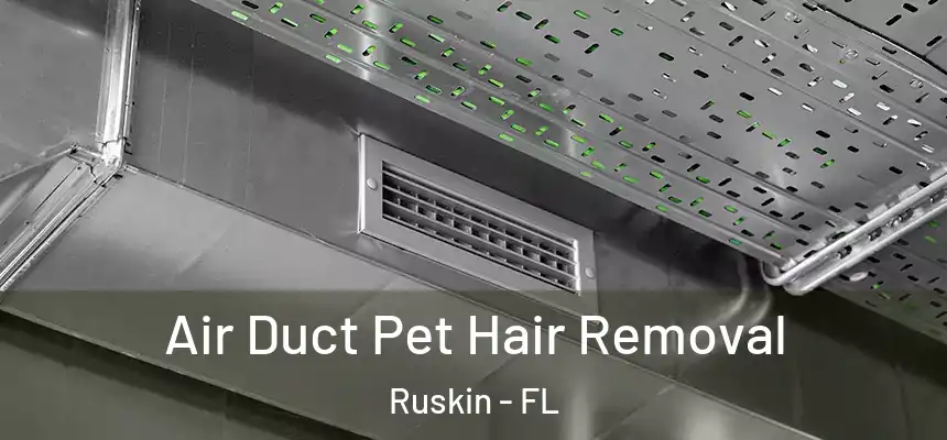 Air Duct Pet Hair Removal Ruskin - FL