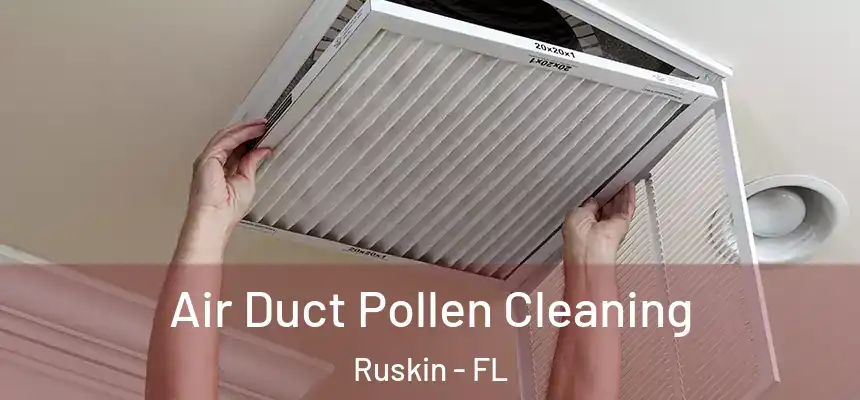 Air Duct Pollen Cleaning Ruskin - FL