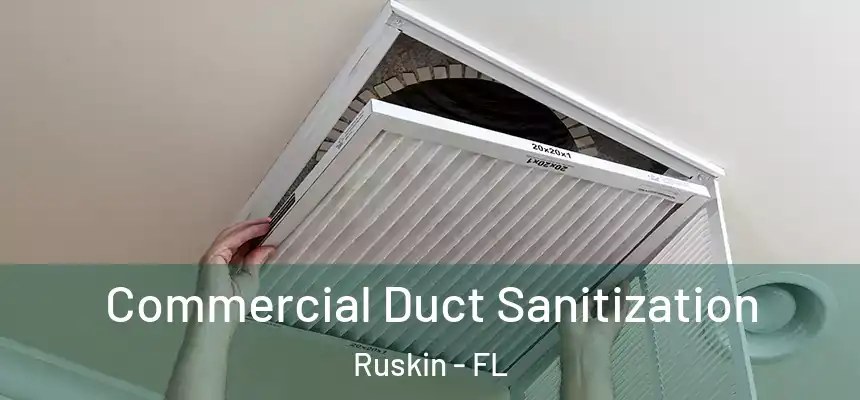 Commercial Duct Sanitization Ruskin - FL