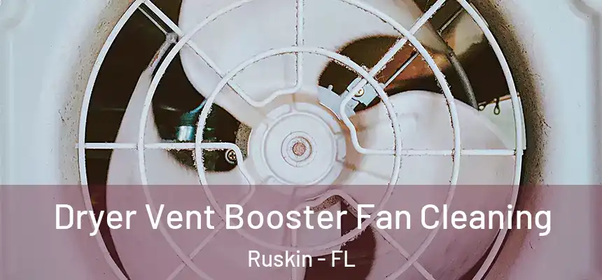 Dryer Vent Booster Fan Cleaning Ruskin - FL