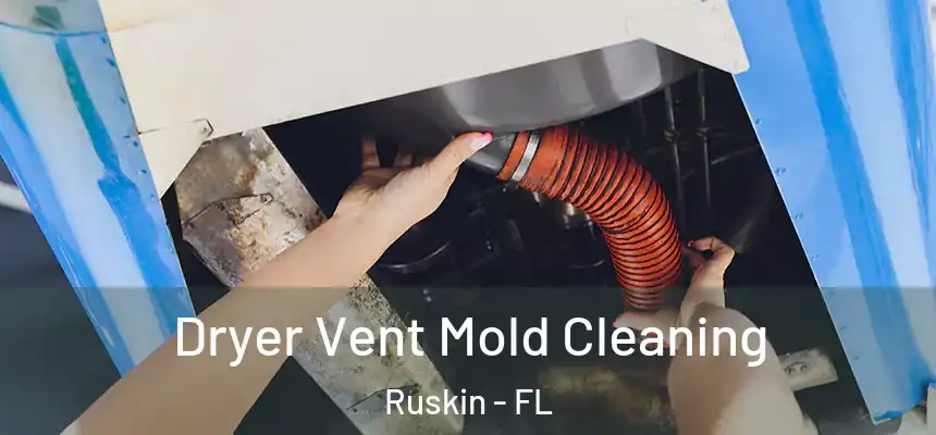 Dryer Vent Mold Cleaning Ruskin - FL