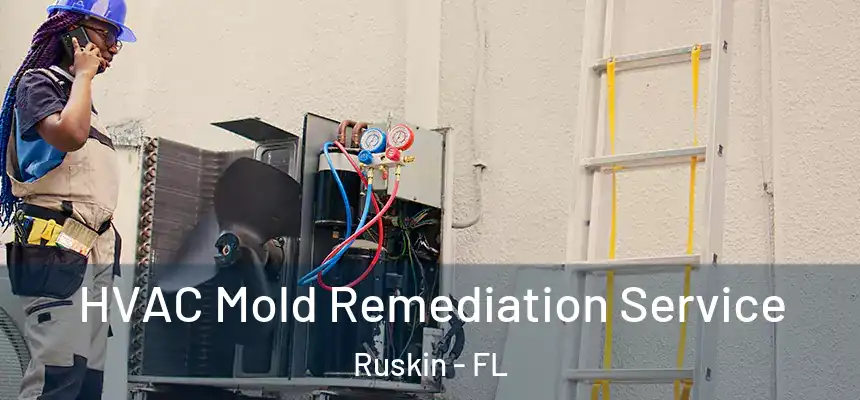 HVAC Mold Remediation Service Ruskin - FL