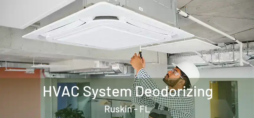 HVAC System Deodorizing Ruskin - FL