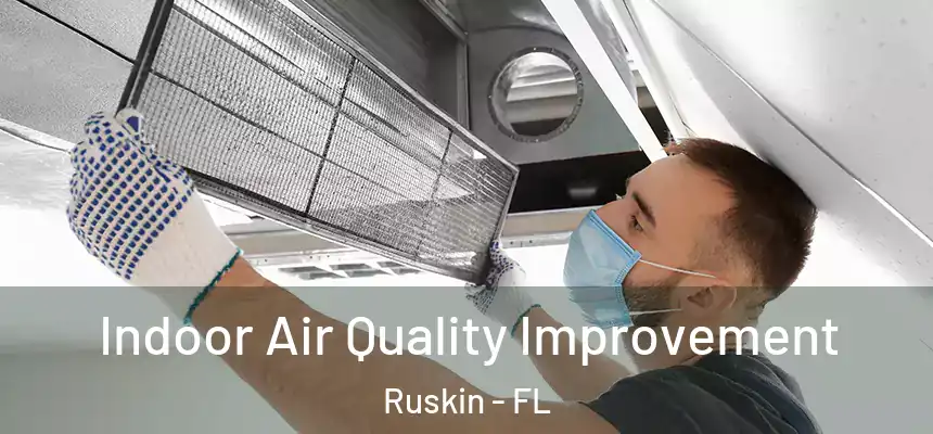 Indoor Air Quality Improvement Ruskin - FL