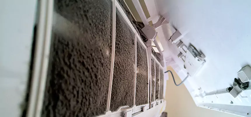 Preventive Air Duct Bacteria Removal in Ruskin