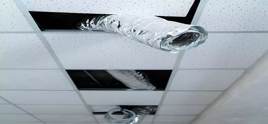 Affordable HVAC Sanitizing After Pest Removal in Ruskin