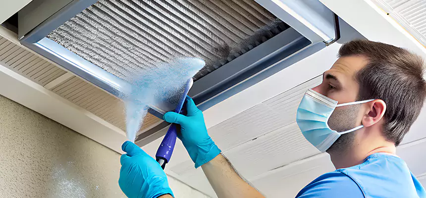 Proactive Dryer Vent & Auxiliary Duct Pollen Cleanup in Ruskin, FL