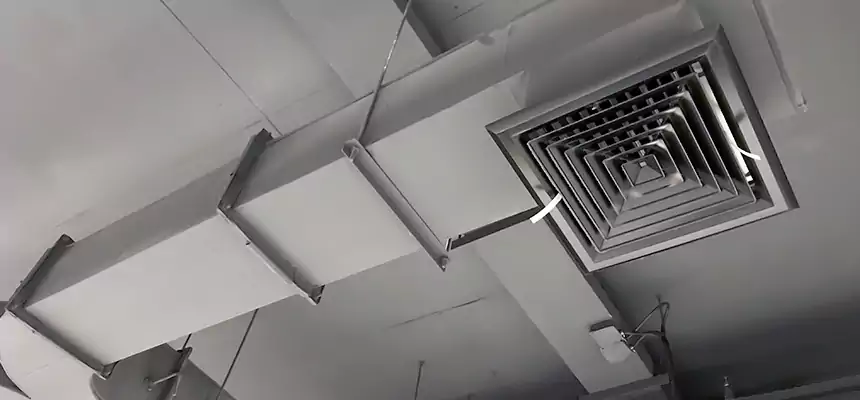 Restorative Allergy Relief Vent Cleaning – Coil, Blower & Housing Detail in Ruskin