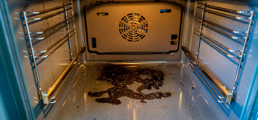 Our Dryer Vent Mold Cleaning Services in Ruskin, FL