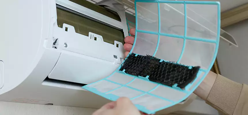 Gentle Ductwork Odor-Control Pet Dander Duct Cleaning in Ruskin, FL