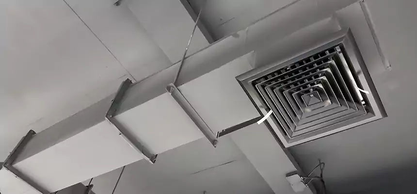 Our Rodent Droppings In Vents Services in Ruskin, FL