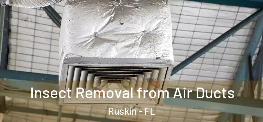 Insect Removal from Air Ducts Ruskin - FL