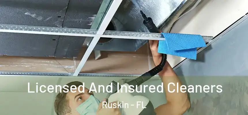 Licensed And Insured Cleaners Ruskin - FL