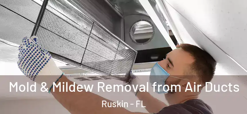 Mold & Mildew Removal from Air Ducts Ruskin - FL