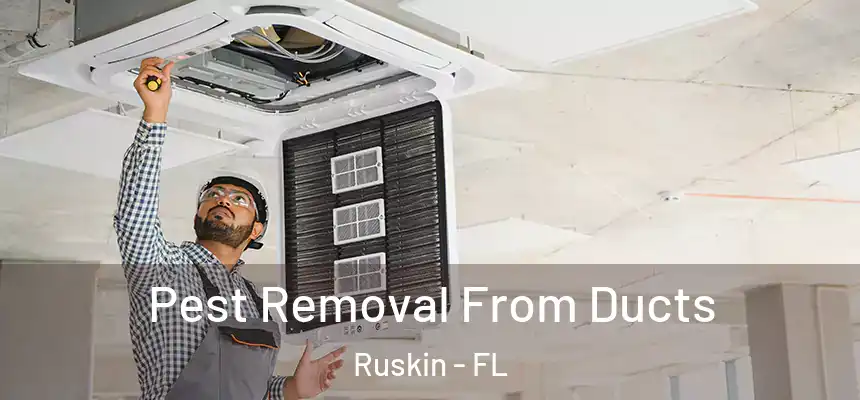 Pest Removal From Ducts Ruskin - FL