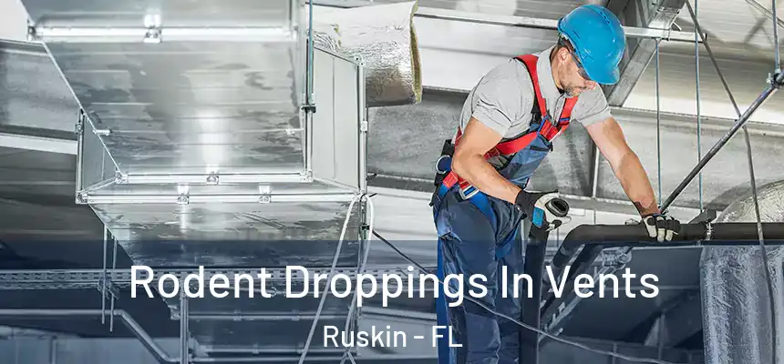 Rodent Droppings In Vents Ruskin - FL