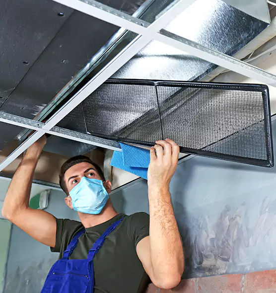 About Air Duct Bacteria Removal in Ruskin