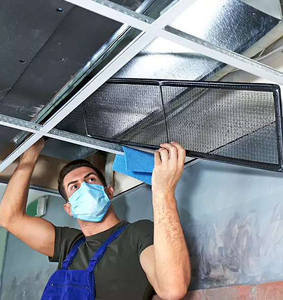 Professional Air Duct Pollen Cleaning in Ruskin, FL