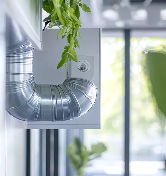 Professional Eco-Safe Dryer Vent Cleaning in Ruskin, FL