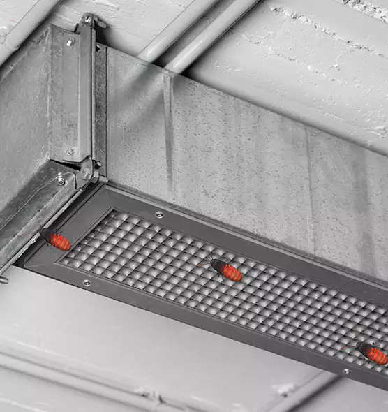 Affordable Insect Removal from Air Ducts in Ruskin, FL