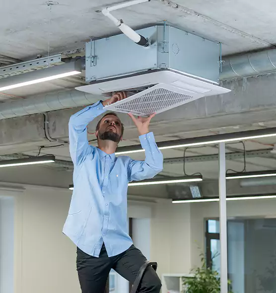 Advanced Rodent Droppings In Vents in Ruskin, FL