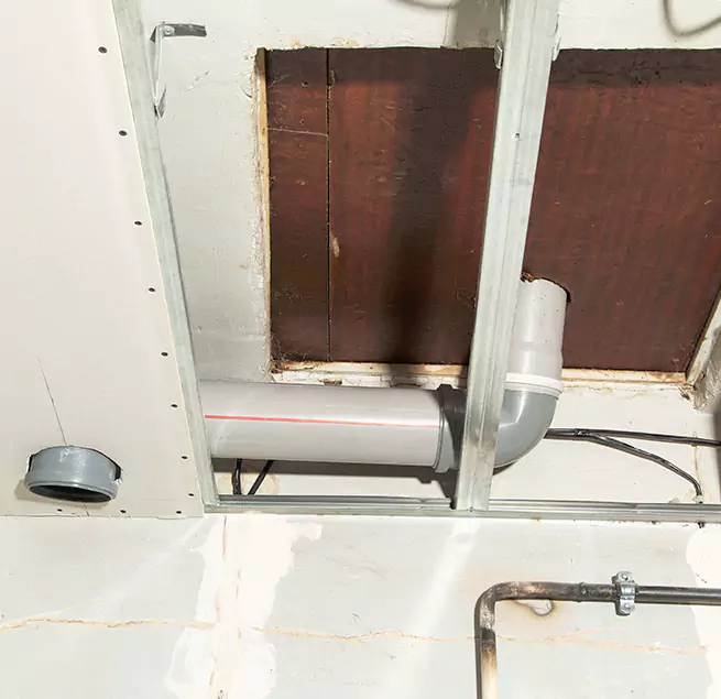 Why Homeowners & Businesses Trust Us in Ruskin, FL?