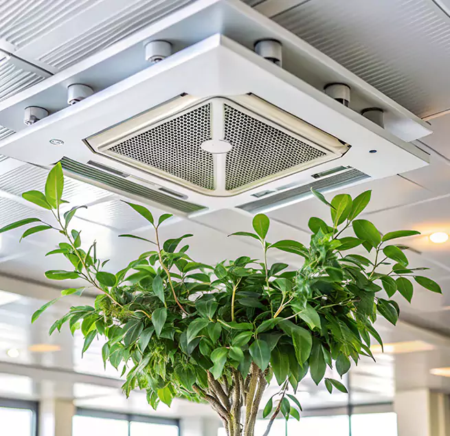 Why Homeowners & Businesses Trust Us in Ruskin, FL