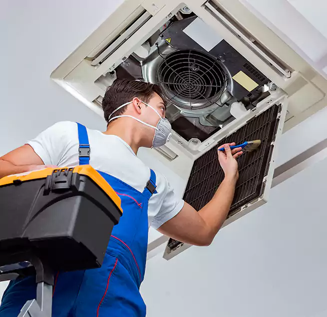 Why Homeowners & Businesses Trust Us in Ruskin, FL?