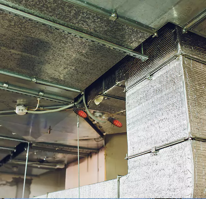 Why Homeowners & Businesses Trust Us Ruskin, FL?