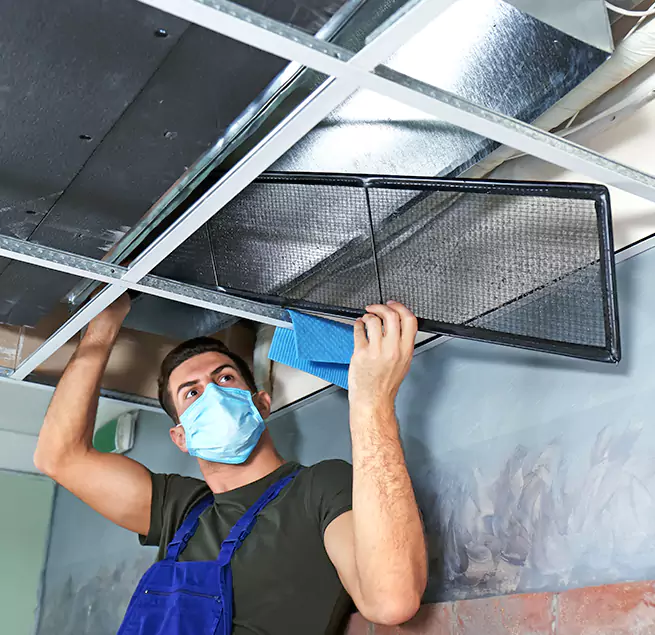 Why Homeowners & Businesses Trust Us in Ruskin, FL?